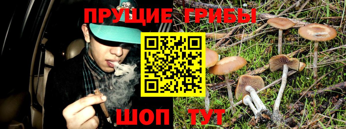 Юрга  Галлюциногенные грибы мухоморы  Вход с VPN 