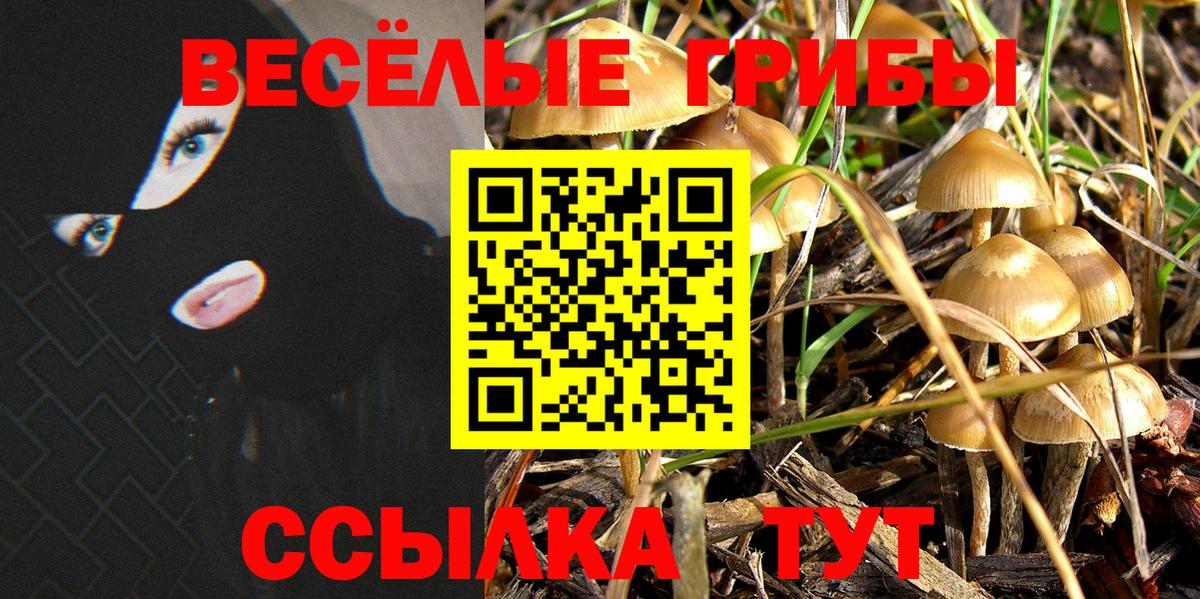 Псилоцибиновые грибы GOLDEN TEACHER Юрга